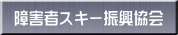 ��Q�҃X�L�[�U������