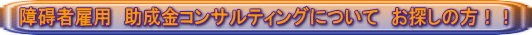 ��V�Ҍٗp�@�������R���T���e�B���O�ɂ��ā@���T���̕��I�I